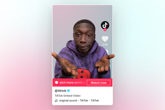 TikTok Embed banner