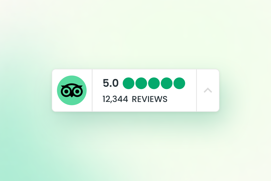TripAdvisor Reviews banner