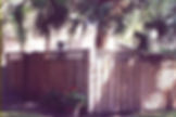 wood fence 00110