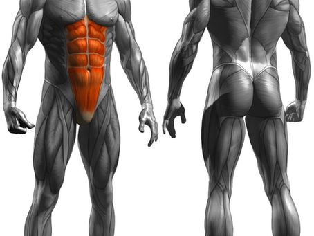 אימון שרירי הליבה