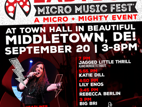 Ladybug Micro Music Fest 2025: A Look Back