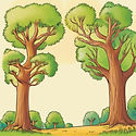 generic childrens book with trees on the cover.jpg