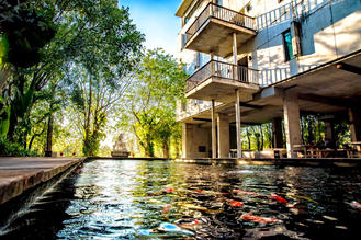Koi Pond.jpeg