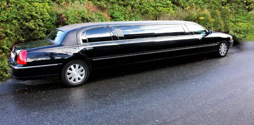 limos1.jpeg