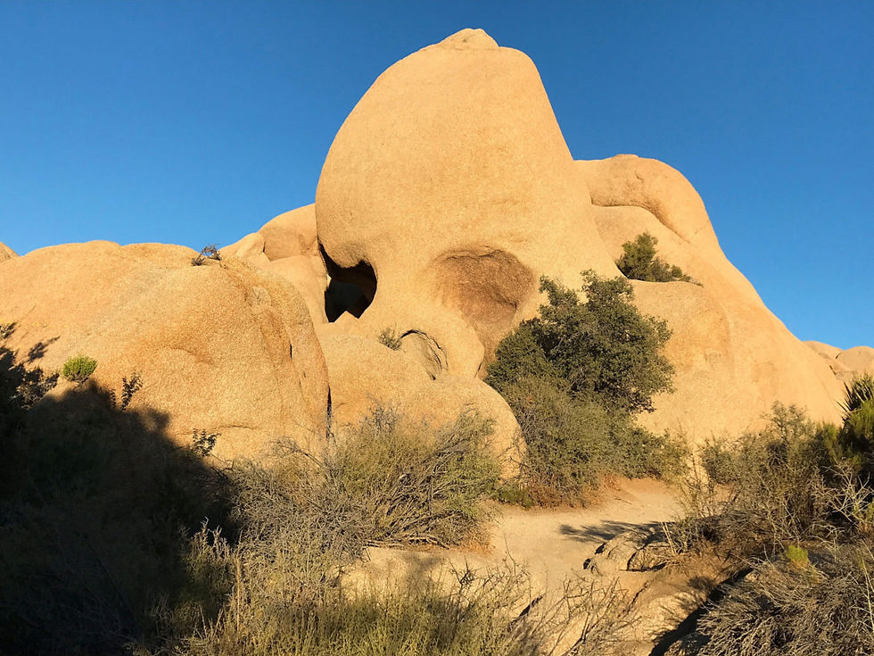 Skull Rock in Joshua Tree National Park