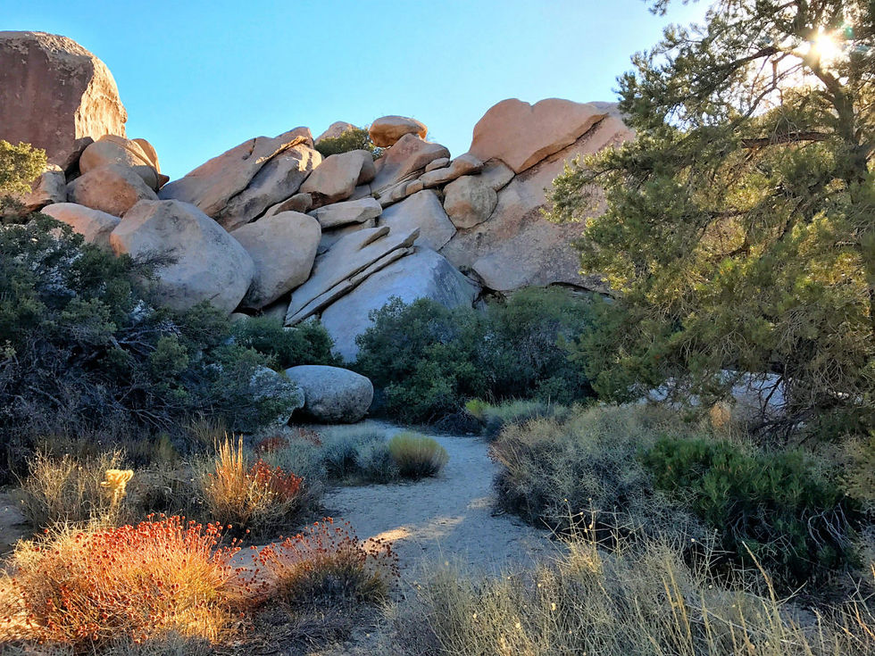 Rock formations along Hidden Valley Trail in Joshua Tree
