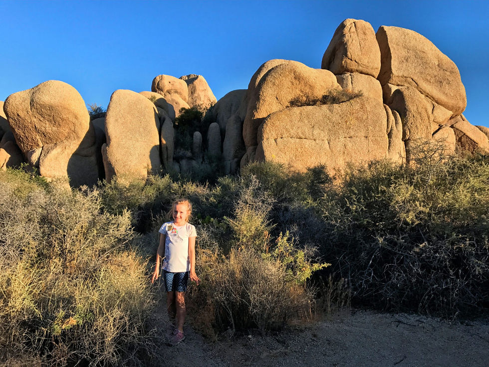 On the trail near Skull Rock