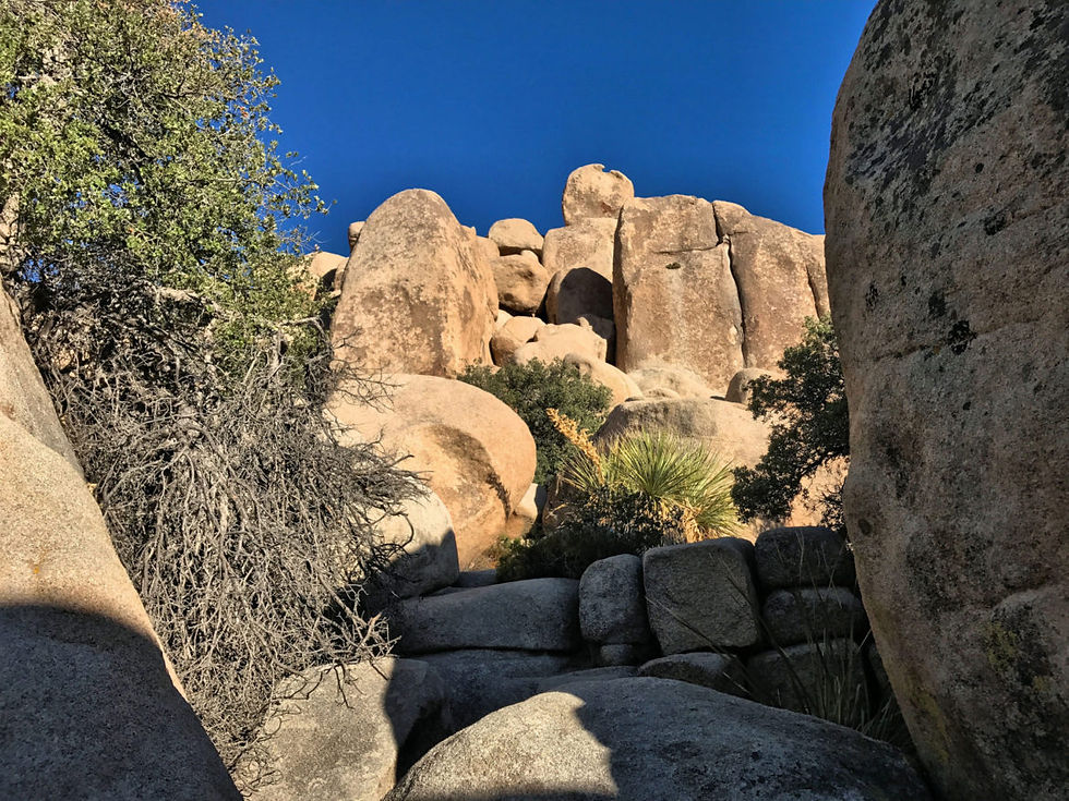 Rocks along Hidden Valley Trail