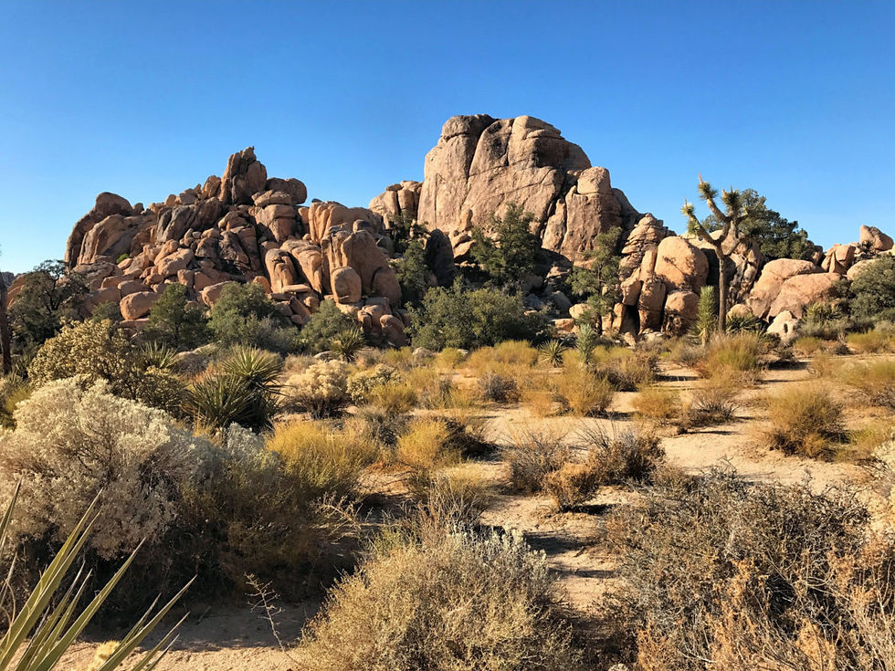 Rock formations near the start of Hidden Valley Trail