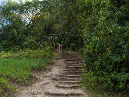 Soufriere, St. Lucia: The Greatest Sights and Adventures