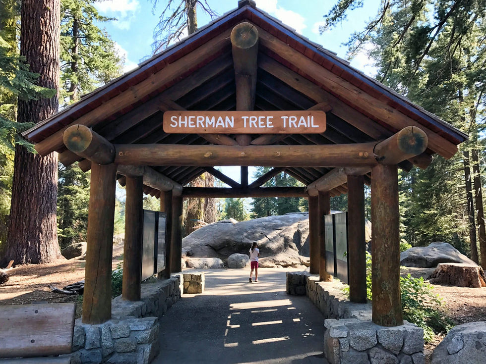 Beginning of Sherman Tree Trail
