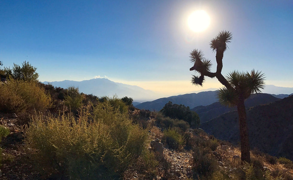 Keys View panorama in Joshua Tree National Park