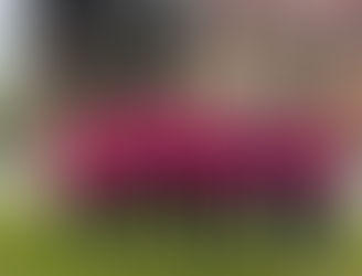 Les Interclubs Men/Ladies ont commencé ce WE!