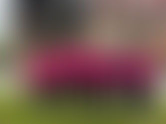 Les Interclubs Men/Ladies ont commencé ce WE!