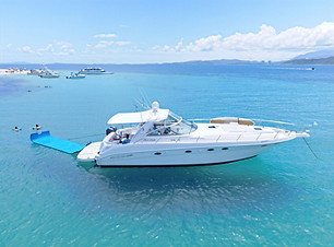 Sea Ray 46' YAcht Rental in Puerto Rico_edited.jpg