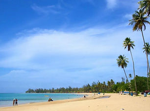 El Yunque Rainforest and Luquillo Beach Tour Puerto Rico