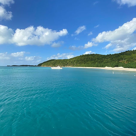 Palomino Island Boat Charter Yacht Charter