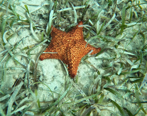 GOPR0499.JPG