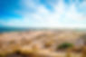 HABITAT _ LANDSCAPES - Brayden Mann - Coorong Dunes.jpg