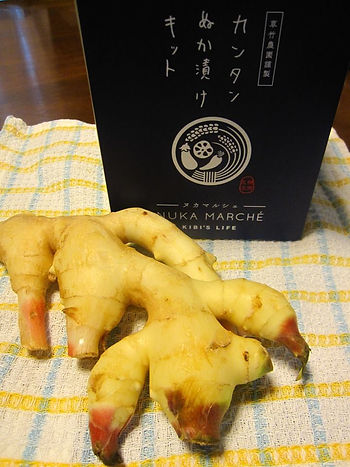 栄養満点エリンギ