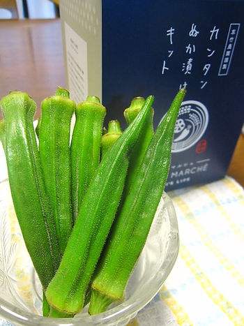 やっぱりおすすめ！きゅうりです