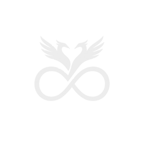 logo 1 transp_edited.png