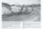 Image1.jpg
