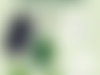 🌱 Tecnologia Sustentável: Produtos Eco-Friendly que Valem o Investimento