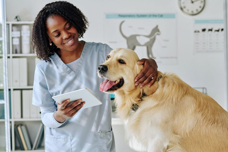 Compassionate and Reliable Vet Care in New Orleans, LA