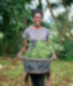 Planting-66.jpg