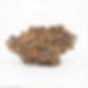 Tropicana Cookies (Dream Factory)
