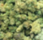 Popcorn buds Indica Blend
