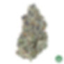 Cosmopolis (Exotic Genetix)