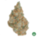 Pear Bourbon Smash (Cactus Genetics)