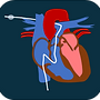 right heart catheterization simulator.png
