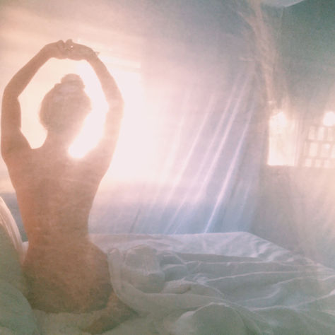 Wild Wellness in Tulum