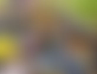 Walking in Others’ Shoes: P4G’s Visit to Crossroads Foundation