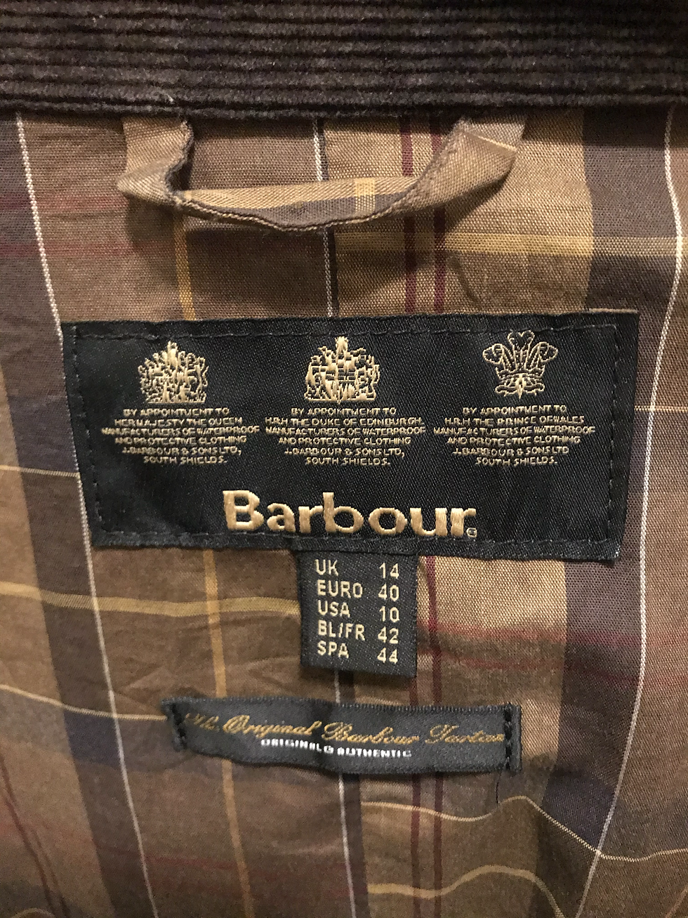 縮圖：Babour２９