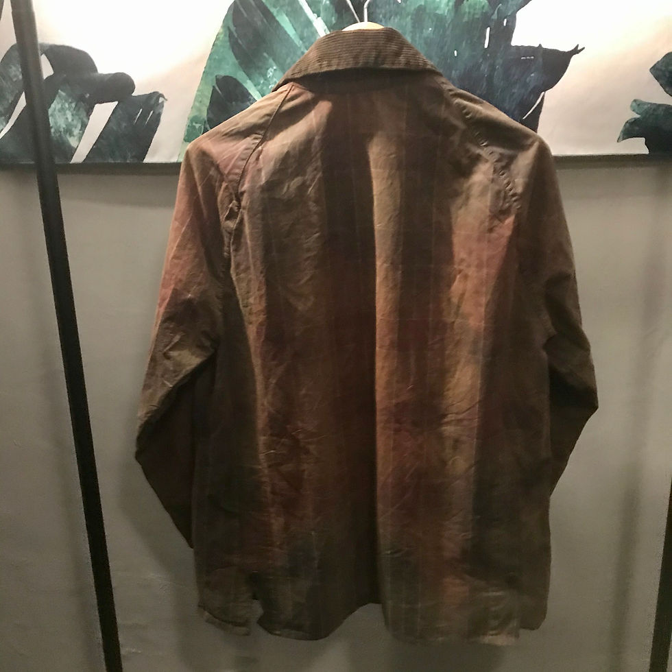 縮圖：Babour３１