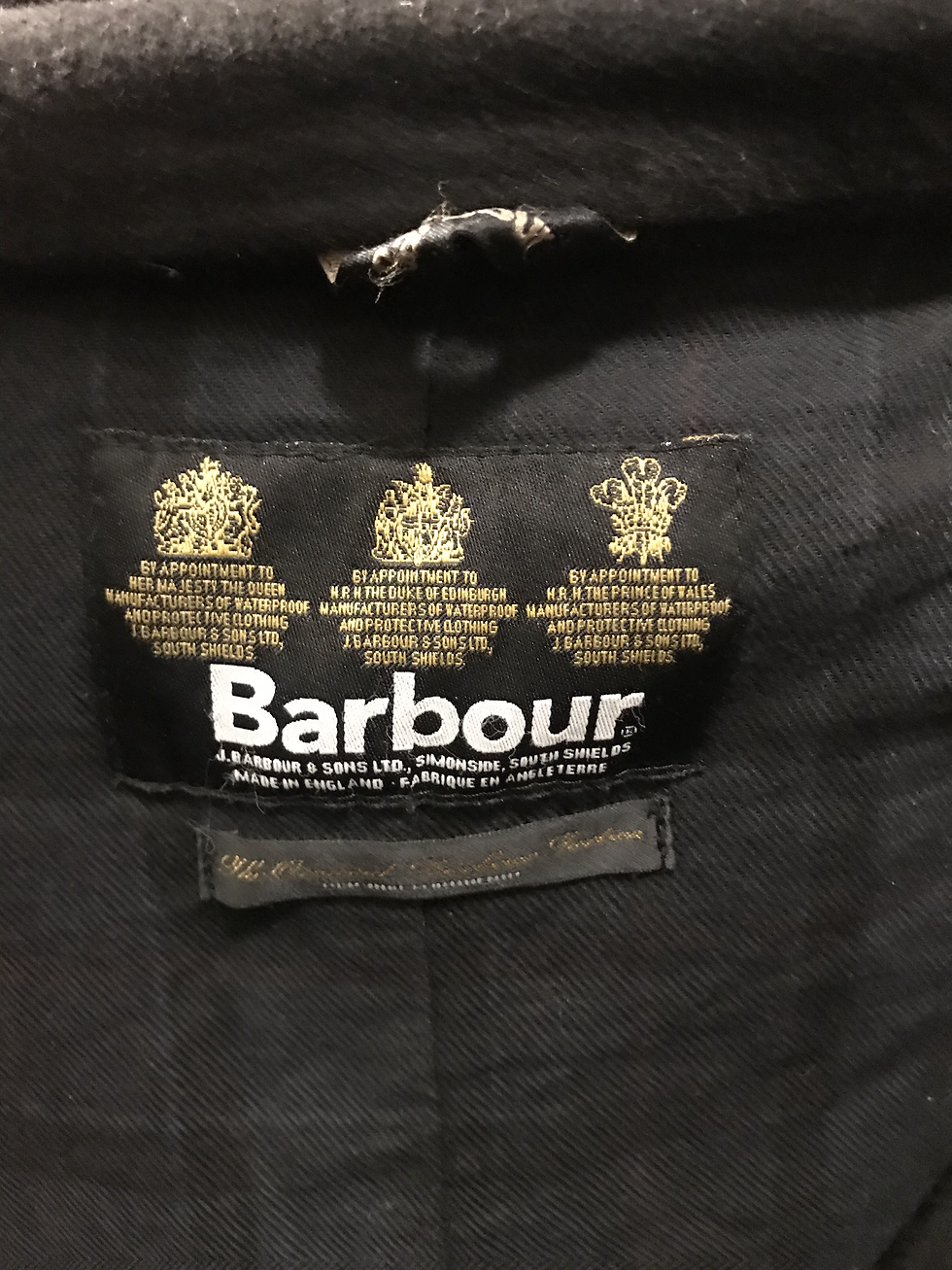 縮圖：Babour２２