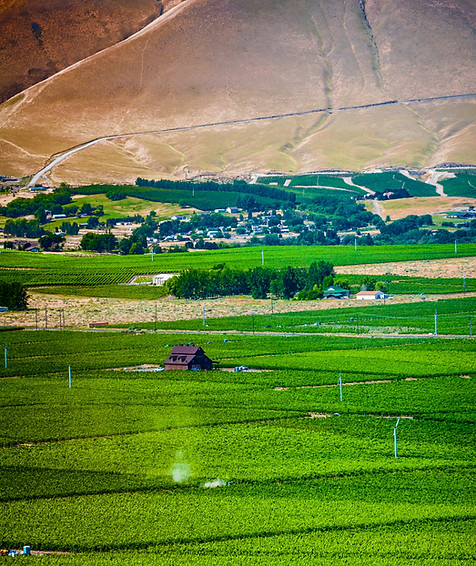 Yakima view