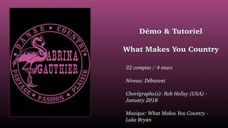 WHAT MAKES YOU COUNTRY