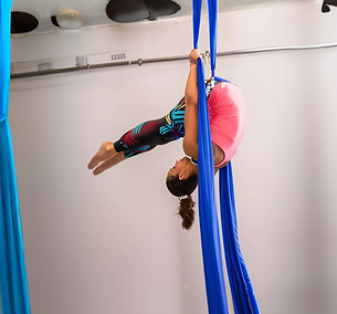 Aerial Silks.png