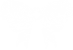 laço branco.png
