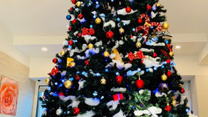 ビッグクリスマスツリー設置してます