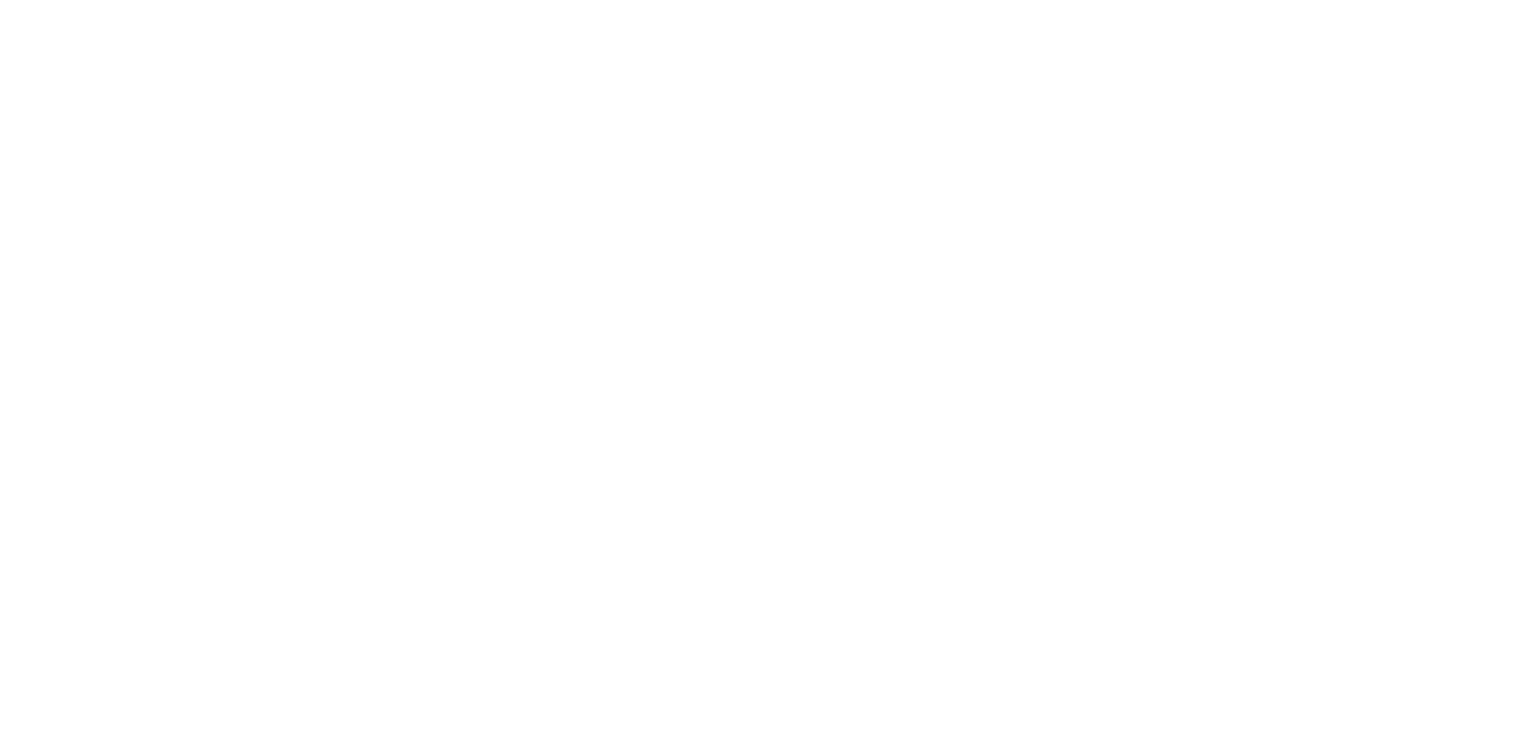 Sanches e Sanches, logo branco horizontal_3.png