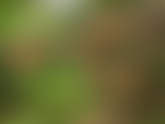 Casal apreciando a vista das montanhas de Monte Verde durante o outono, com clima ameno e atmosfera romântica.