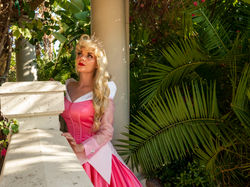 Spinning Wheel Princess