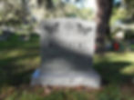 Palm Upright Gray