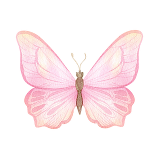 Copia de Copia de Copia de Copia de Copia de Copia de Copia de Copia de Copia de Copia de